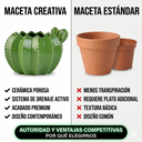 Maceta Decorativa de Cerámica Cactus