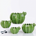 Maceta Decorativa de Cerámica Cactus