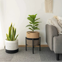 Cesta de Múltiples Usos Boho