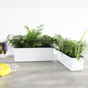Maceta de Autorriego Colonia Rectangular