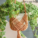 Colgador de Plantas Costa Rica