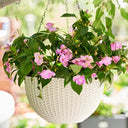 Maceta Colgante de Pared - Exterior Primavera