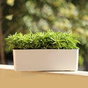 Maceta de Autorriego Colonia Rectangular
