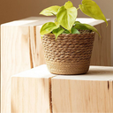 Cesta Artesanal Decorativa