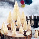 Set Mini Árboles