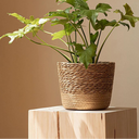 Cesta Artesanal Decorativa