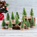 Set Mini Árboles